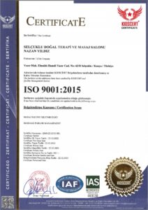 iso9001